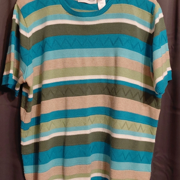 Alfred Dunner Teal and Olive Striped Sweater - Picture 1 of 4